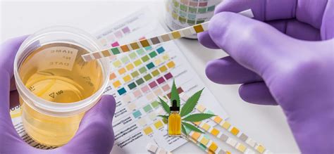 cbd drops possitive drug test|cbd drug testing results.